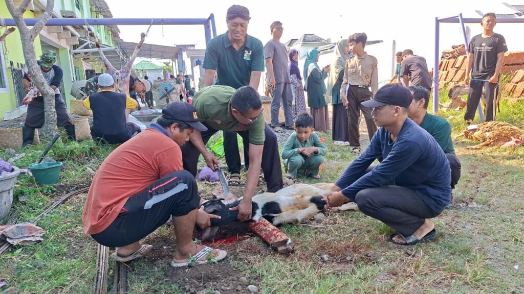 Semangat Berbagi di Gebyar Idul Qurban 1447 H: Kolaborasi MI dan SMPIT Luqman Al Hakim