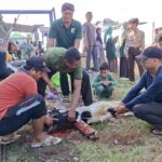 Semangat Berbagi di Gebyar Idul Qurban 1447 H: Kolaborasi MI dan SMPIT Luqman Al Hakim